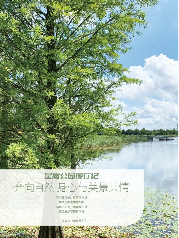 https://image.ipaiban.com/upload-ueditor-image-20230421-1682036059696066182.png