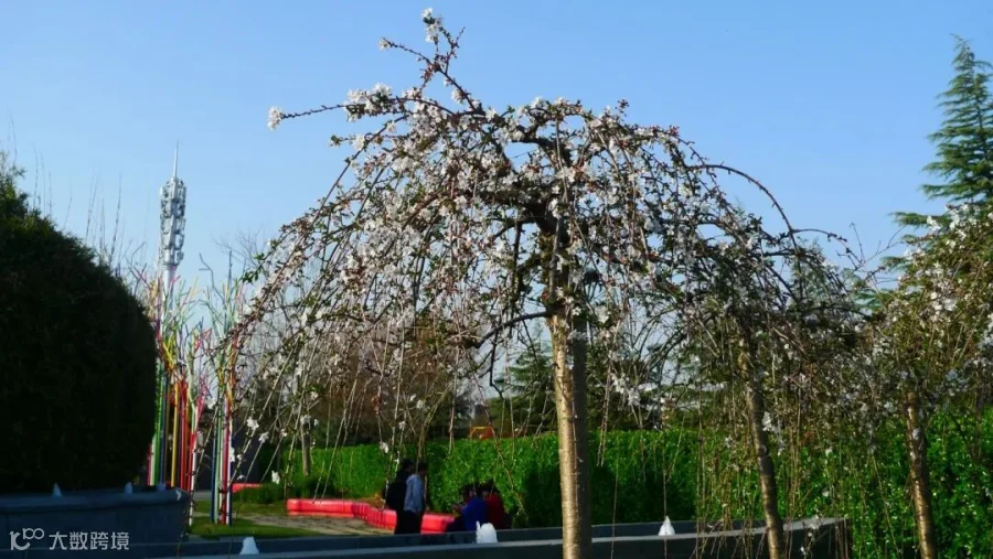 https://image.ipaiban.com/upload-ueditor-image-20210329-1617022630389013146.jpg