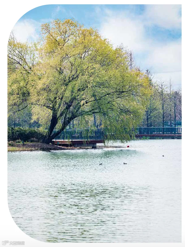 https://image.ipaiban.com/upload-ueditor-image-20230421-1682036398873098406.png