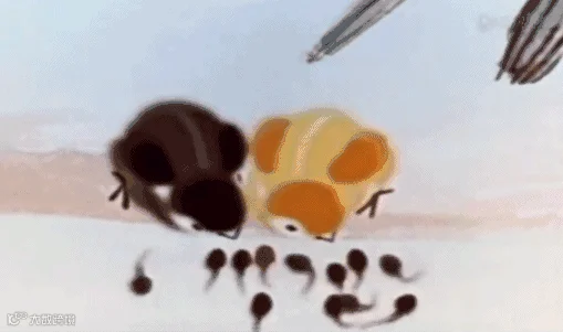 1513678084776139.gif