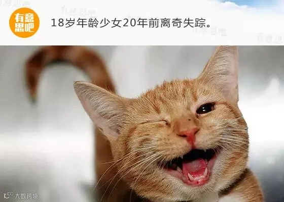 年度20大没品新闻,现已爆笑上映!