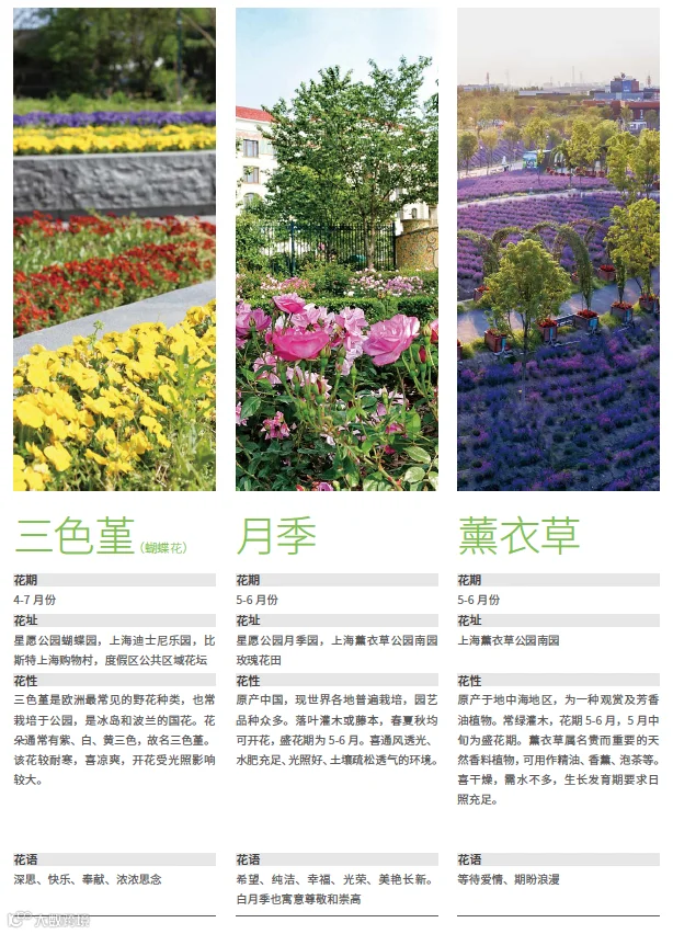 https://image.ipaiban.com/upload-ueditor-image-20210513-1620868691348055504.png