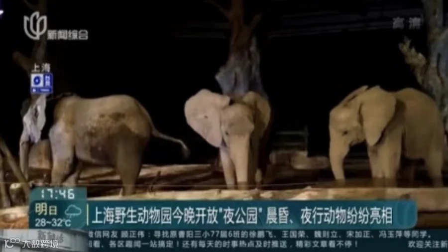 https://image.ipaiban.com/upload-ueditor-image-20200813-1597299476132026424.png