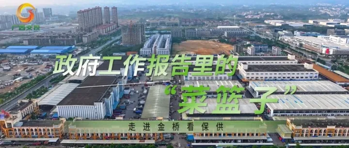 我们的足迹・系列报道 | 政府工作报告里的“菜篮子”——走进金桥看保供