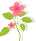 分割线