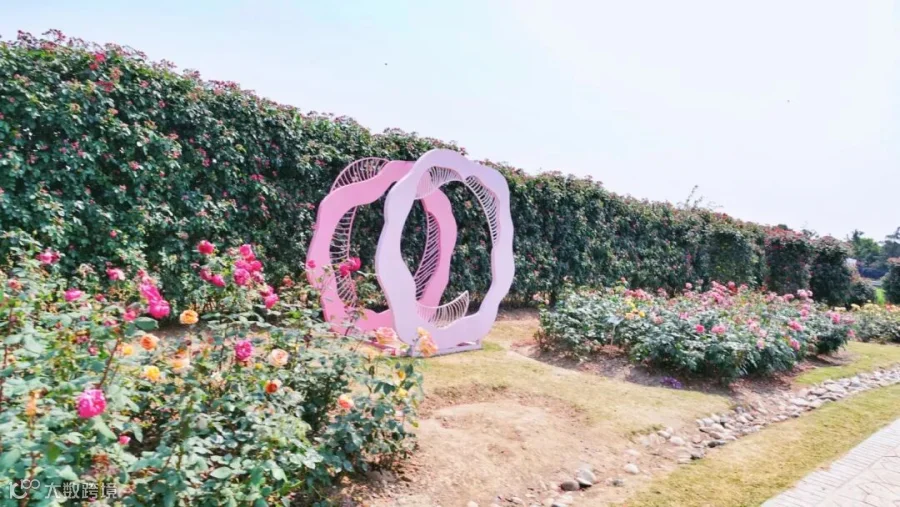 https://image.ipaiban.com/upload-ueditor-image-20190523-1558600203306056869.jpg
