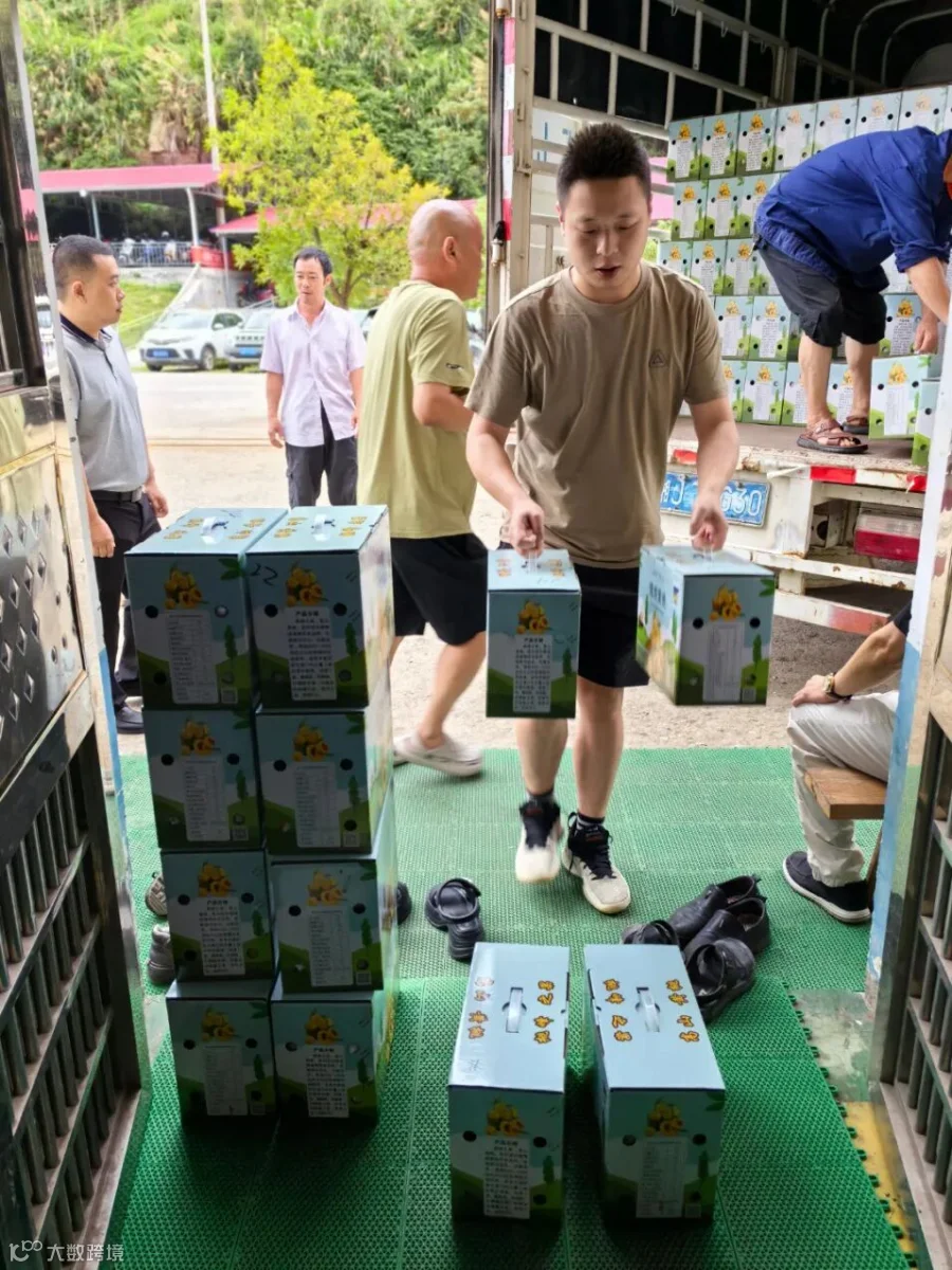微信图片_20250808110135.jpg