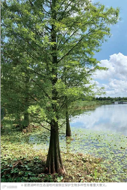 https://image.ipaiban.com/upload-ueditor-image-20211111-1636618342142030995.png