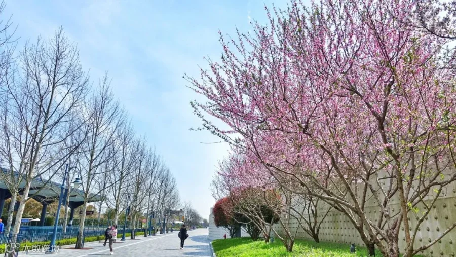 https://image.ipaiban.com/upload-ueditor-image-20200326-1585206017391020070.jpeg