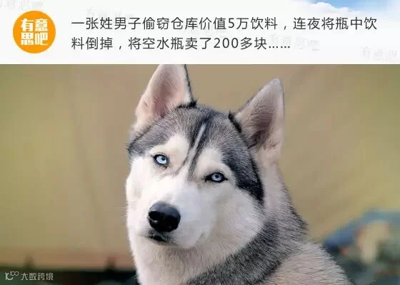 年度20大没品新闻,现已爆笑上映!