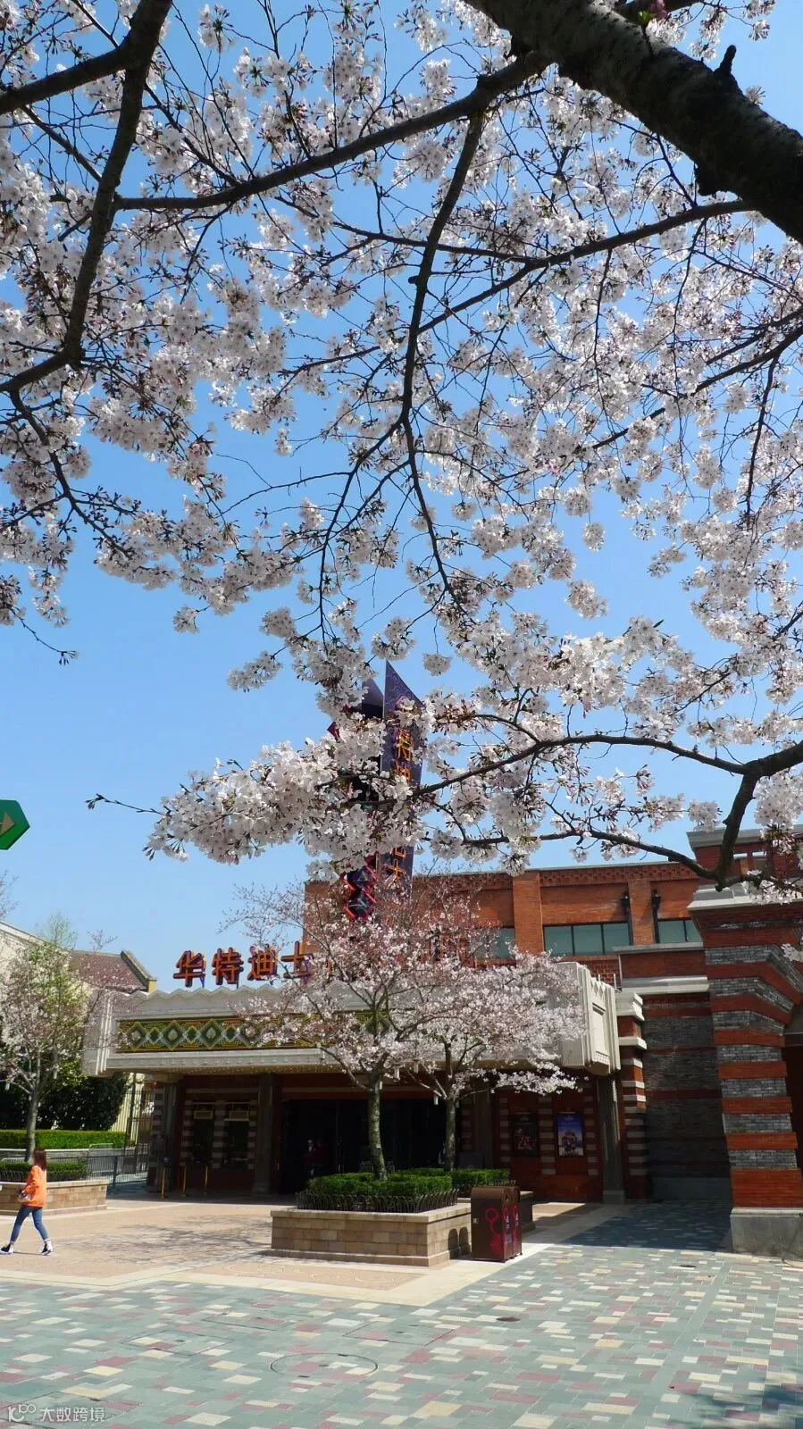 https://image.ipaiban.com/upload-ueditor-image-20210329-1617021730436076599.jpg