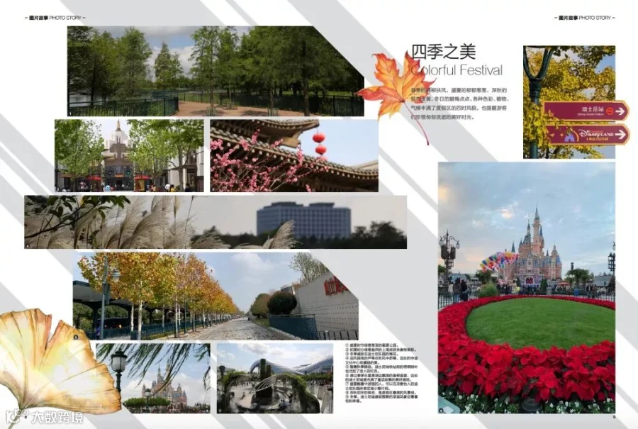 https://image.ipaiban.com/upload-ueditor-image-20181219-1545216358097044832.jpg