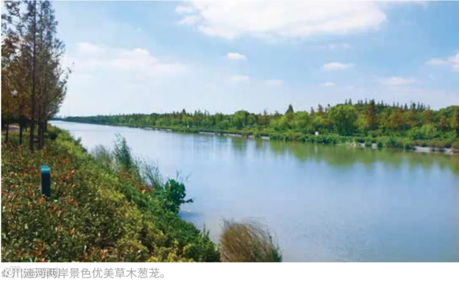 https://image.ipaiban.com/upload-ueditor-image-20211111-1636618022137096512.png