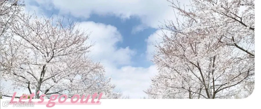 https://image.ipaiban.com/upload-ueditor-image-20230421-1682036034849024762.png