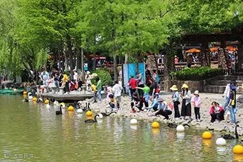 https://image.ipaiban.com/upload-ueditor-image-20211019-1634601871600075198.jpg