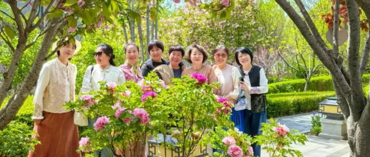 华中小镇丨花缀汉唐境，牡丹绽芳华