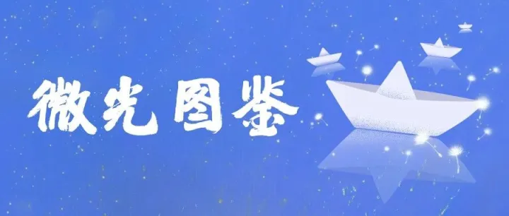 微光图鉴 | 谁还没见过？阀门设计员在线“炫技”