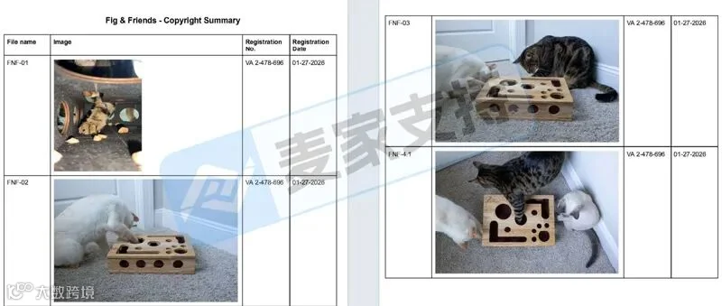 6-cv-00530宠物爆款隐匿维权！160店铺中招猫咪指甲锉益智盒，已TRO冻结！"