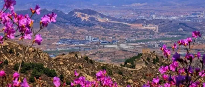 春山可望，盼君归