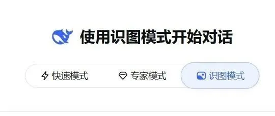 DeepSeek 终于睁眼了