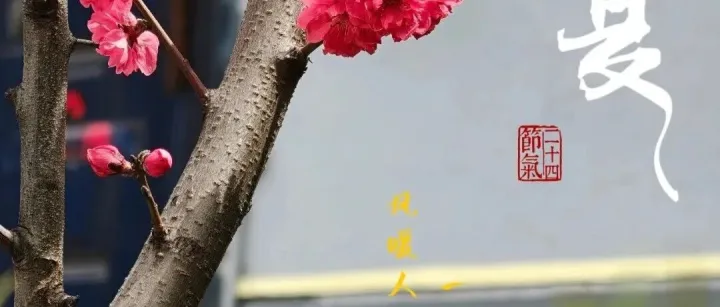 廿四节气 | 清风迎立夏 浅夏入诗行