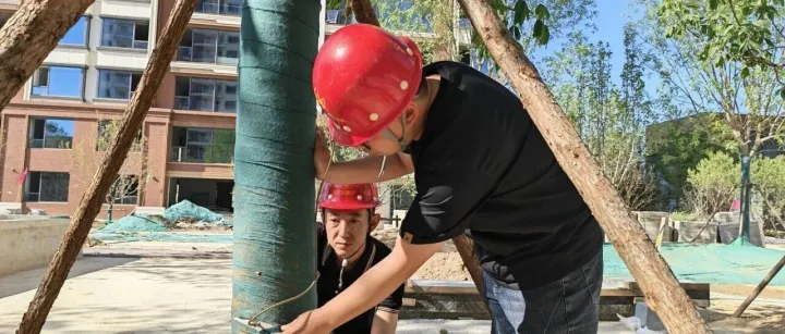 以奋斗，致青春