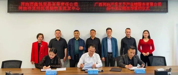 三方携手 链动产业——河池产投天予、宜州区顶盛牲畜、鑫悦贸易达成活牛供应链战略合作