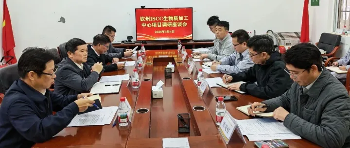 廖应灿到<em>钦州</em>琦泉公司调研<em>钦州</em>ISCC生物质加工中心项目