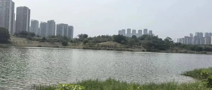行业应用：涉水智能装备在水网维保中的应用场景和发展趋势