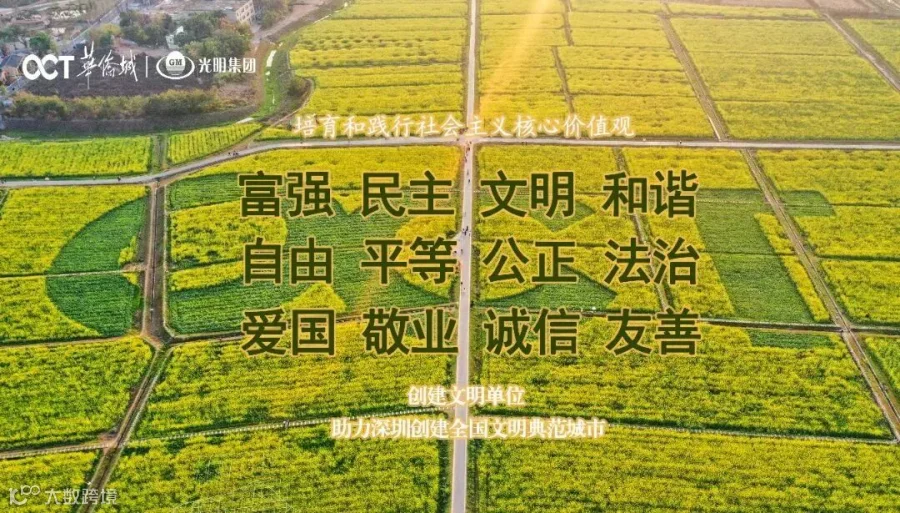 微信图片_20250102101417.jpg