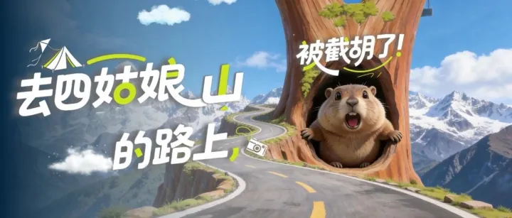 去四姑娘山的路上，被截胡了！