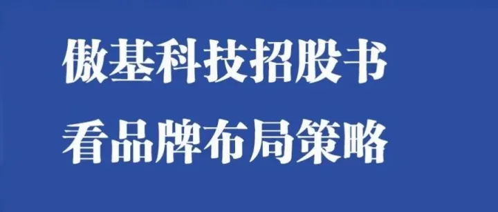 从上市大卖傲基科技拆解“品牌矩阵”是如何通过顶层架构来实现的？