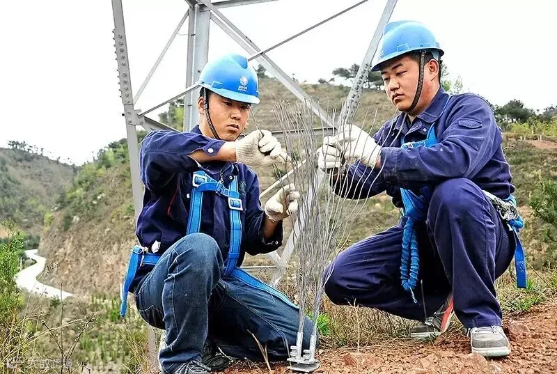 为高空安装鸟刺做好准备任长征摄.jpg