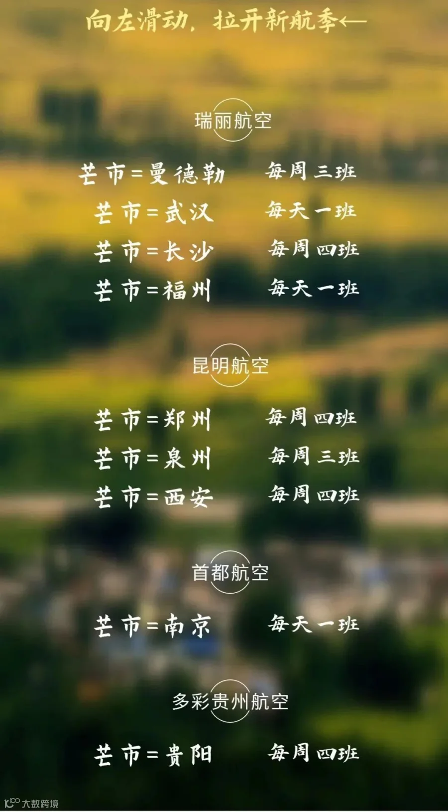 稿定设计-8.jpg