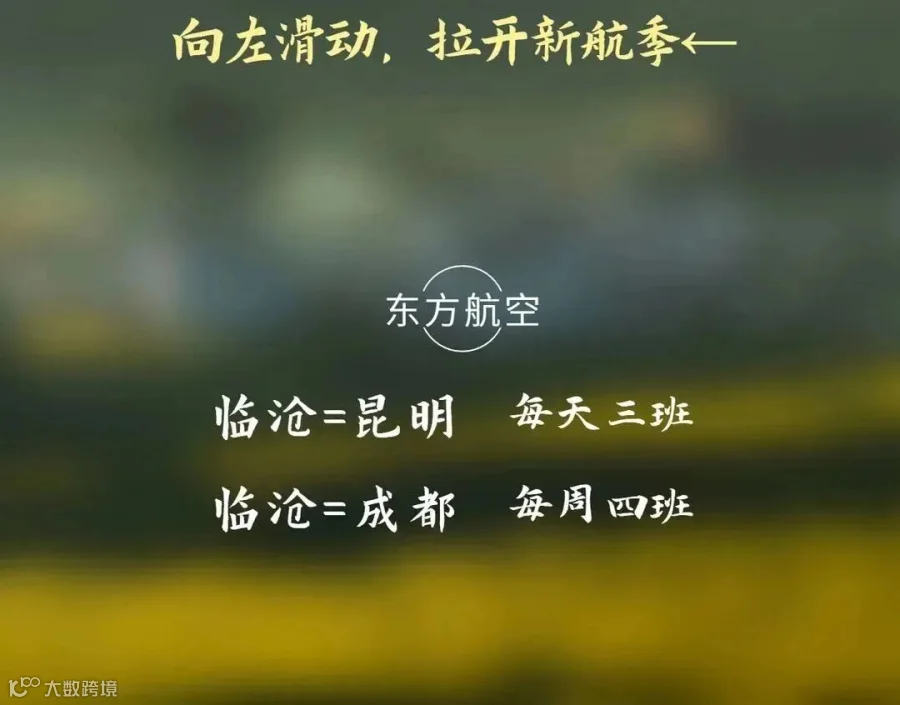 稿定设计-18.jpg