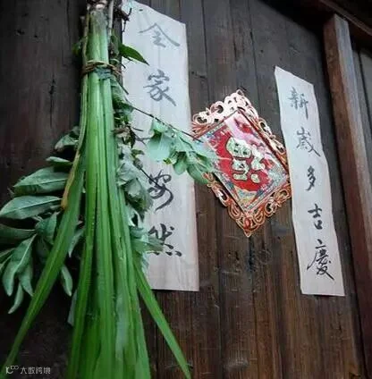 菖蒲.jpg