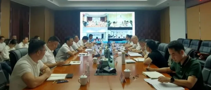 公司召开经营工作例会