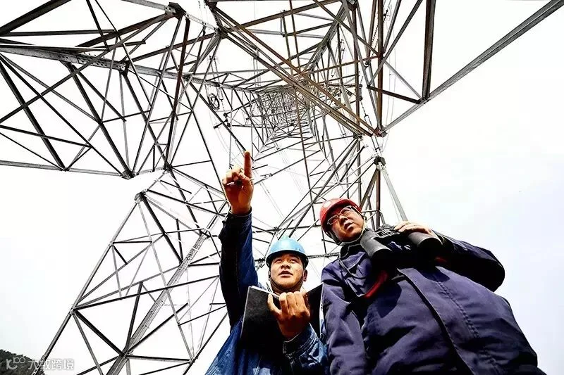 工作人员在对线路走经下边的树木进行观察任长征摄.jpg