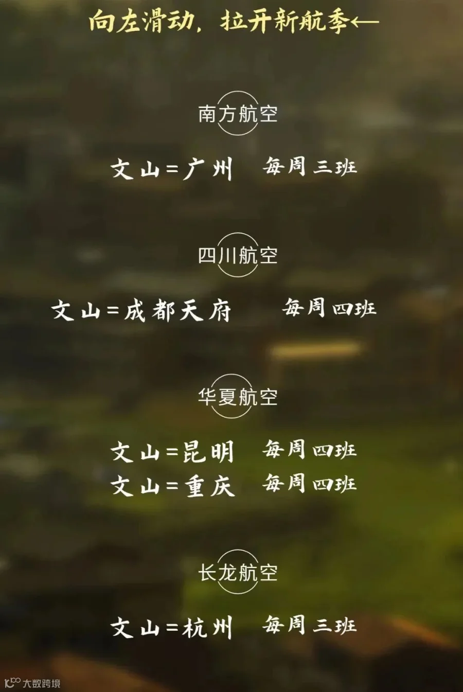 稿定设计-24.jpg