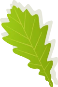 分割线