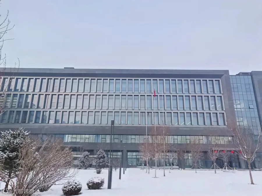正月十五雪打灯 瑞雪映照新奋斗-张腾月.png
