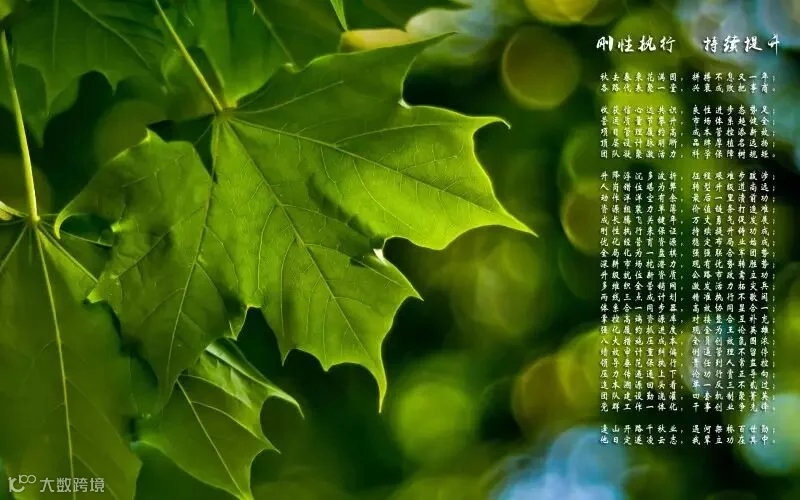 刚性执行,持续提升.jpg