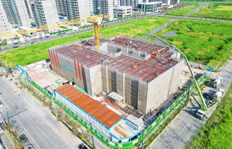 临港幼儿园.jpg
