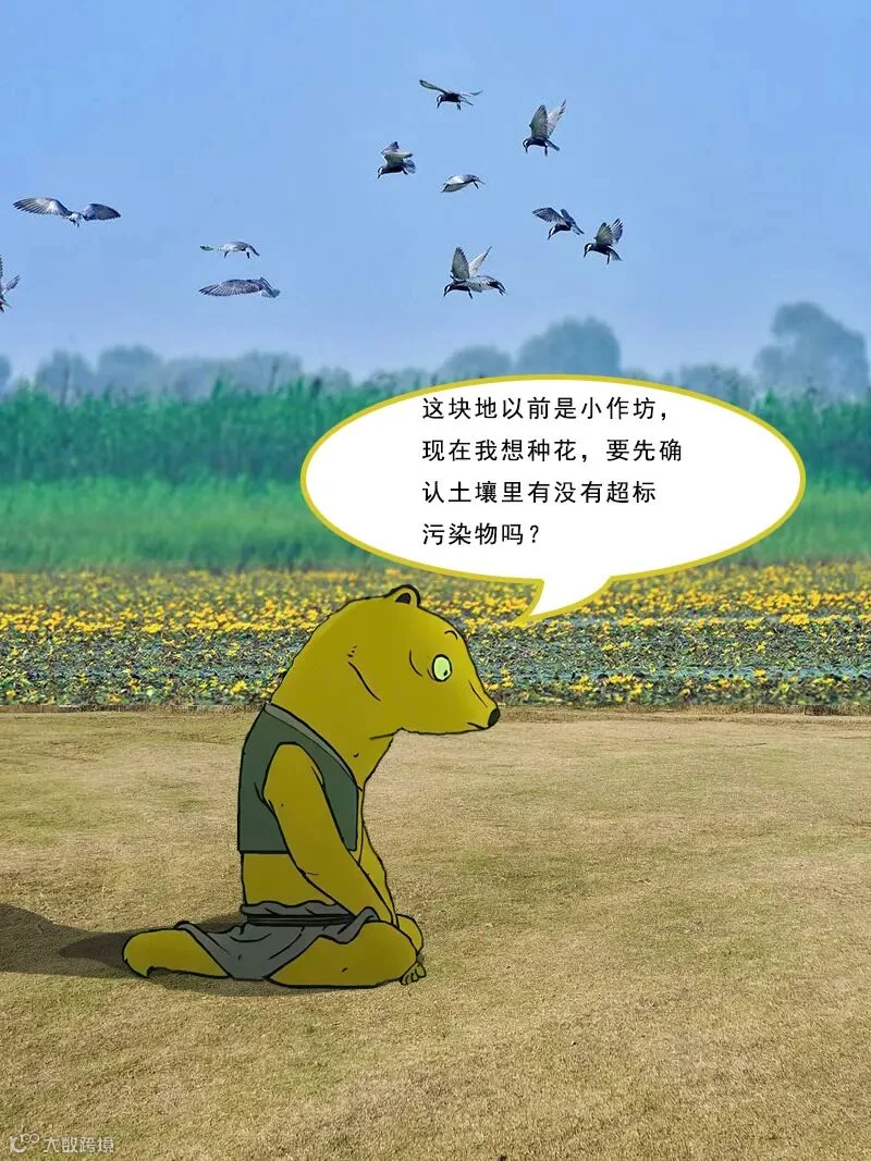 插图