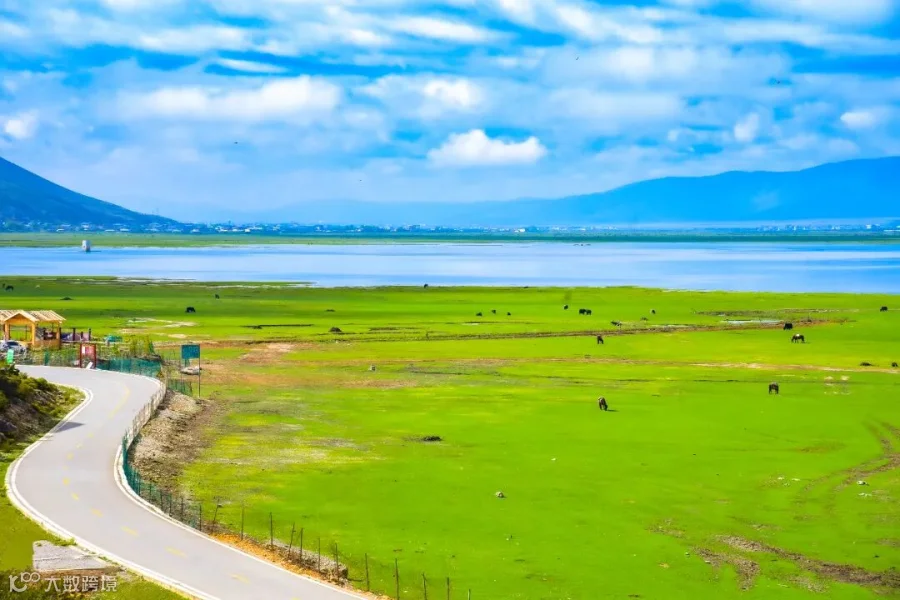 摄图网_501624953_香格里拉纳帕海风景区(企业商用).jpg
