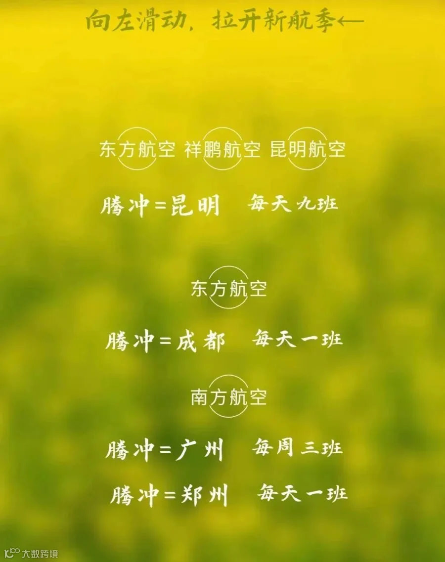 稿定设计-10.jpg
