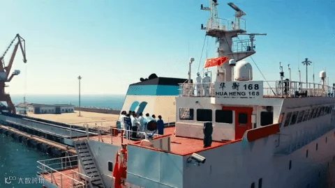 31de29f53447d4e791441423e1e7a23d(8).gif