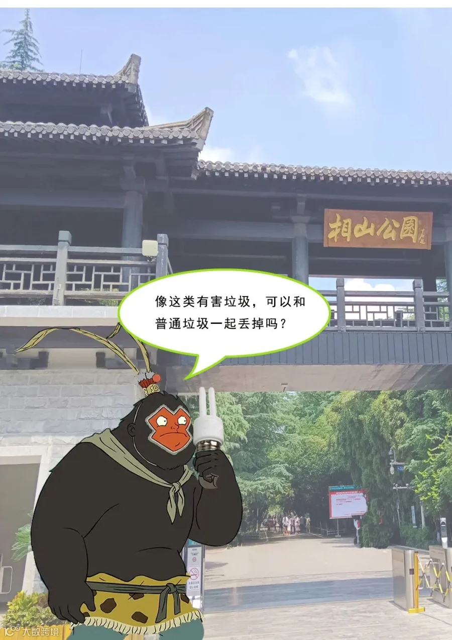 插图