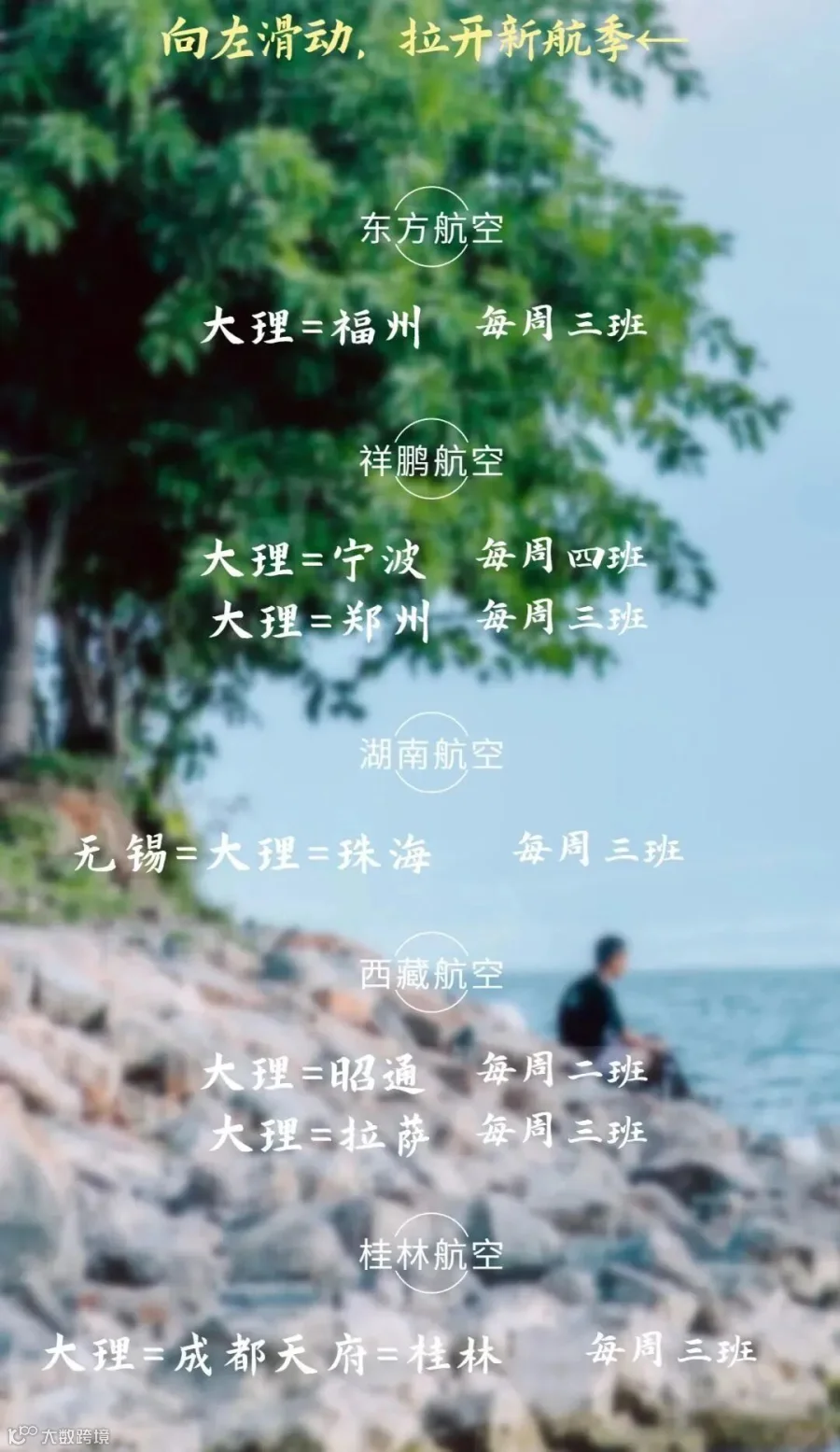稿定设计-6.jpg