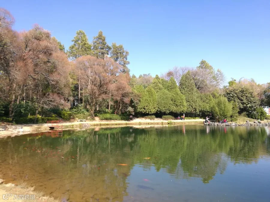 摄图网_500793988_云南蝴蝶泉边风景(企业商用).jpg